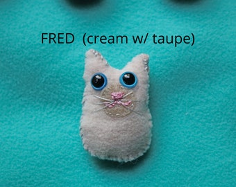 Cream-colored happy kitten