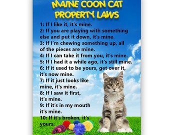 Maine Coon Cat Property Laws Fridge Magnet No 4