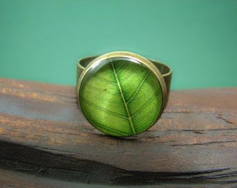 Green summer ring, Green leaf ring, Nature jewelry, Adjustable ring, Green ring, Tree leaf ring, Bronze ring, nature lover gift, glass