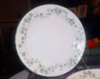 Vintage (1995) Corelle Corning USA Callaway large dinner plate. Green leaves | ivy, scalloped, green rim, swirled verge.