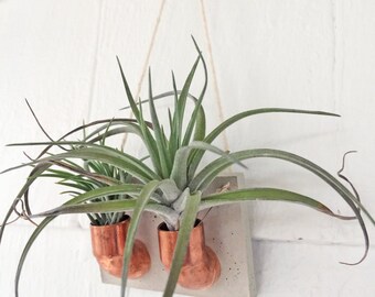 Copper Cement Double Air Plant Holder | Air Plant Wall Hanging | Air Plant Holder | Planter | Hanging Plant | Gift For Her