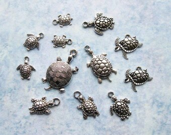 Turtle Charm Collection in silver tone - C2319