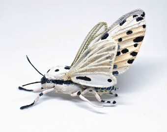 moth brooch, textil art, insect brooch, Soft sculptur,, unique design, eco friedly,fabric beetle