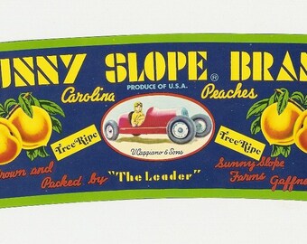 14 Old Vintage FRUIT CRATE LABELS