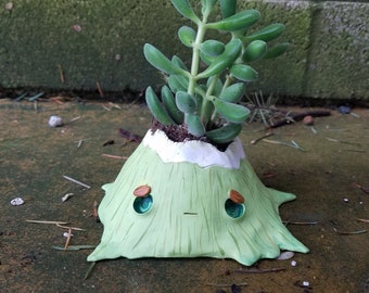 Oscar the Mountain Planter