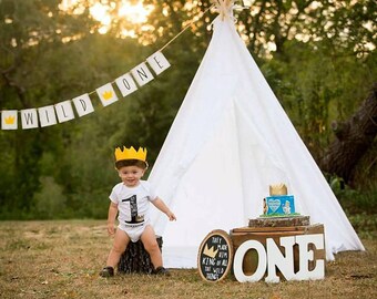 Where The Wild Things Are Birthday Shirt, Personalized Wild One, First Birthday, Max, 1st Birthday, One Birthday shirt, Cake Smash