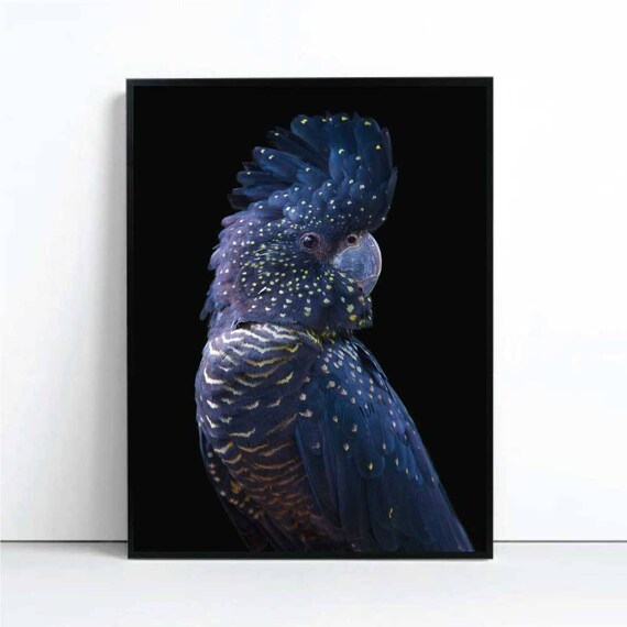 blue cockatoo painting blue cockatoo painting