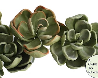 Three 3" wired gumpaste succulents with rounded tips for cake decorating, wedding cake toppers, or autumn cake topper