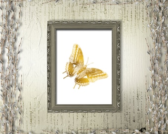 Butterfly Printable Art Gold White Print Wild Nature Home Decor Animal Insect Art Moth Fauna Nursery Decor Digital Art / Instant Download