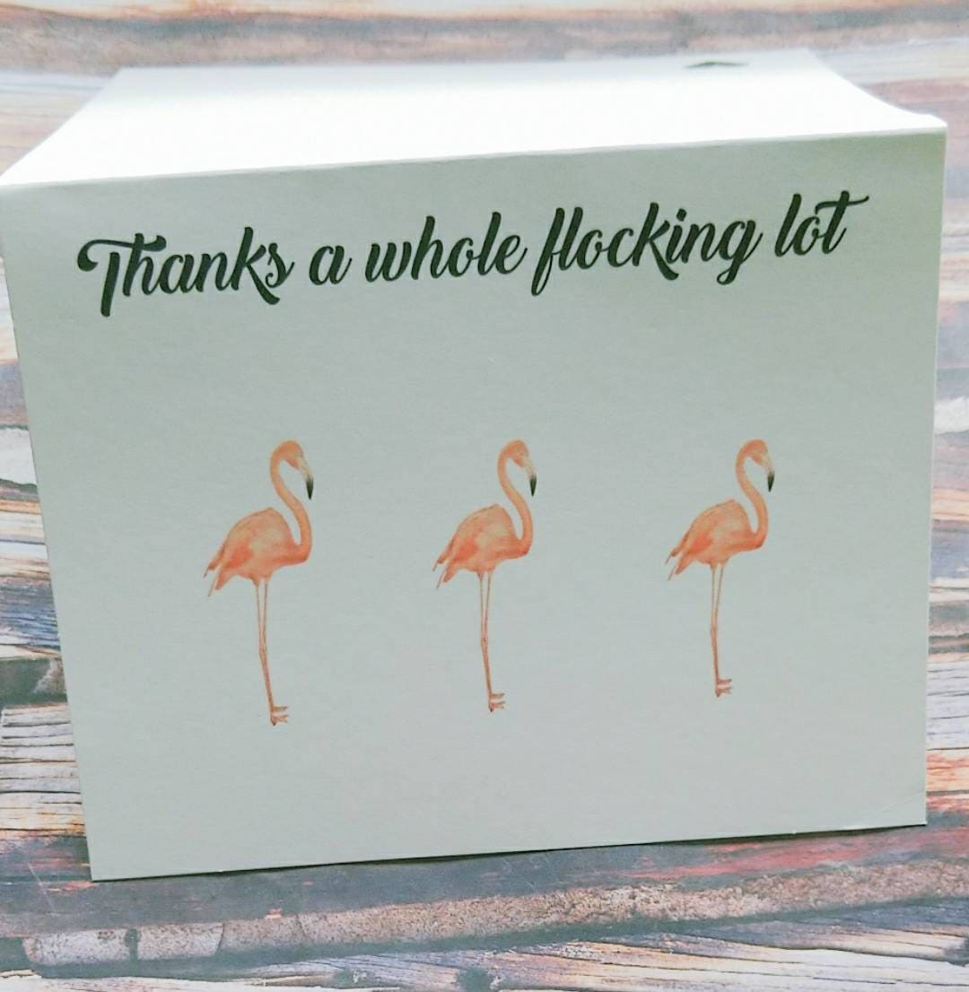 Funny greeting cards funny thank you card thank you cards