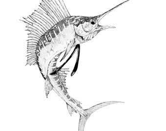 Mahi Mahi 11x14 Drawing Mahi Mahi Dorado Fish Art Sea Life