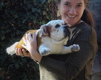 Needle felted Bulldog - English Bulldog - Bully - dog sculpture - dog portrait - custom made memorial