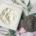 Clay Stamp Lion Head Pottery Press Mold Relief Mold or Sprig Mold Bisque Clay Stamp for Ceramic Decoration and Texture