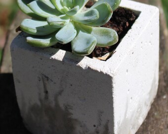 Swirled Concrete Planter, Modern Concrete Planter, Small Planter, Small Concrete Planter, Miniature Succulent Planter