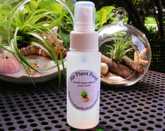 Air Plant Food in 2 oz Spray Bottle ~ for use once a month with Air plants ~ Plant Fertilizer ~ Airplant Food ~ Water Bottle also in shop