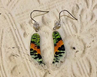 Real Butterfly Madagascar Sunset Moth Earrings Swarovski Crystals