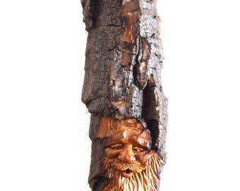 2017 Alaskan Cottonwood Bark Wood Spirit #59