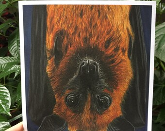 Flying Fox Bat - Art Print of Original Drawing