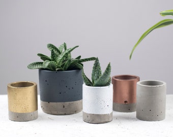 Concrete Pot – Air Plant Holder – Concrete Planter – Indoor Planter – Indoor Pots – housewarming gift – Cactus Planter - Gift for Her