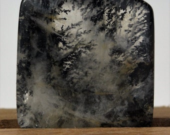 Fantastic Faceted Quartz With Dendrites