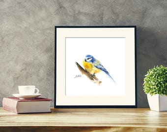 Titmouse Bird Original Watercolor Painting, Bird Painting, Bird Art, blue and yellow modern bird painting