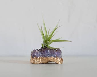 Amethyst Airplant Holder, Gold Dipped, Air Plant Terrarium, Boho Decor, Air Plant on Crystal, Large Amethyst Cluster, Birthday Gift, Planter