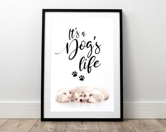 Its A Dogs Life Its A Dogs Life