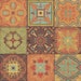 Indian Summer Decorative Accent Tile Ceramic Kitchen Back Splash 6"