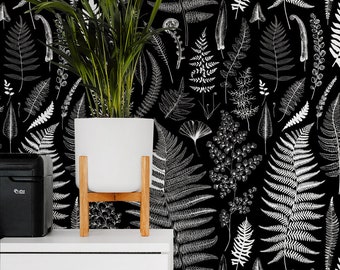 Black and white ferns removable wallpaper / nature illustration temporary wallpaper / botanical leaf self adhesive wallpaper 527
