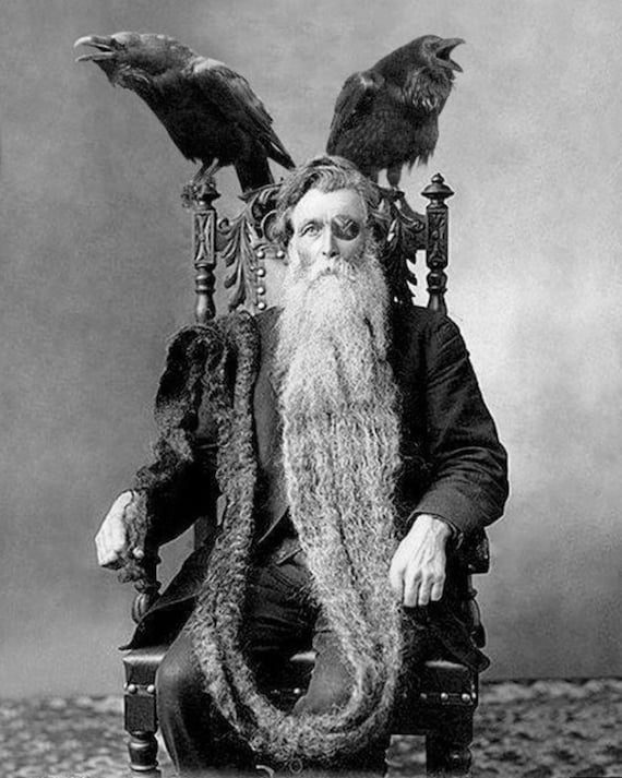 Bearded odin man long longest beard unusual vintage Bearded odin man long longest beard unusual vintage