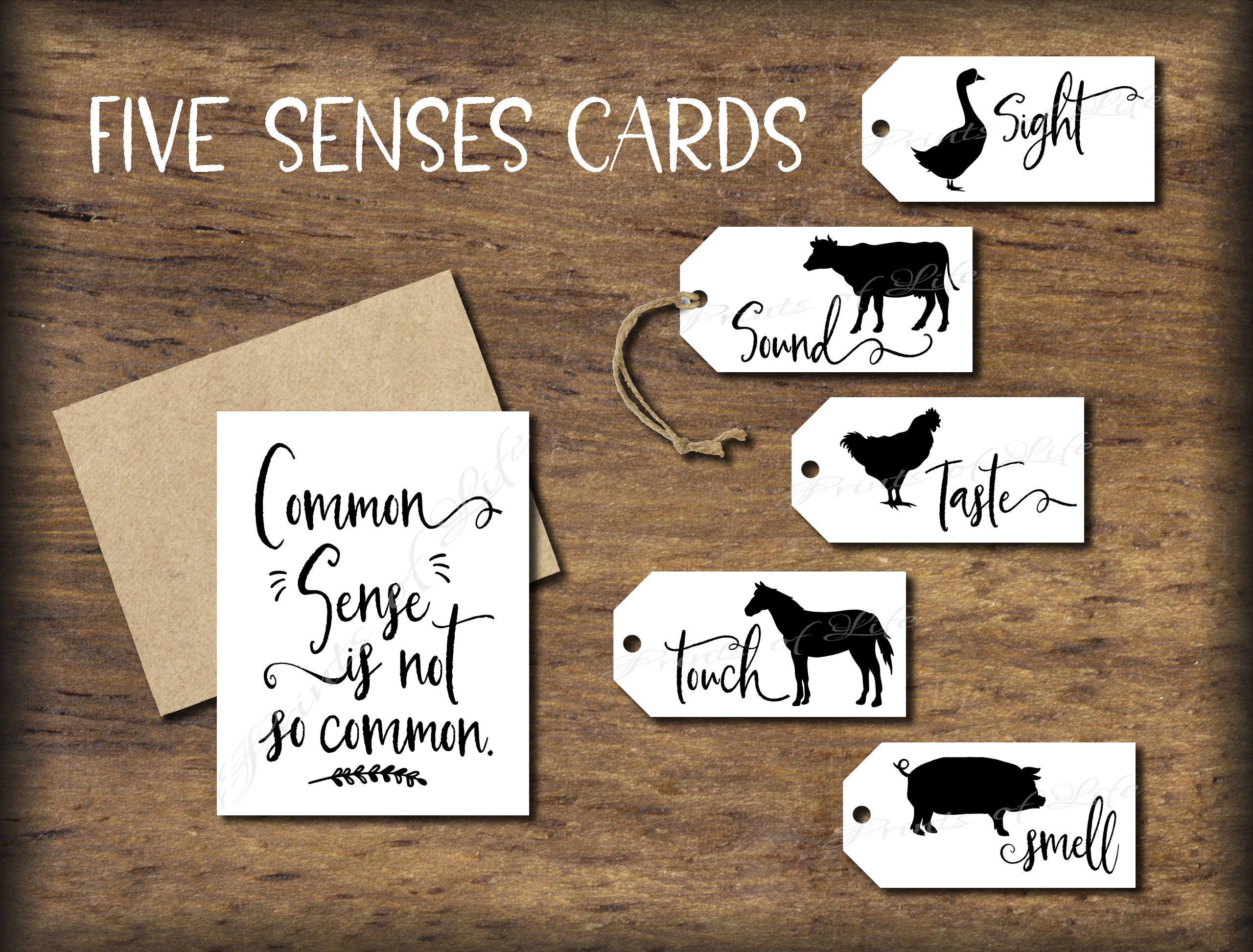 Five Senses Gift Tags Card Instant Download Printable Common Sense 