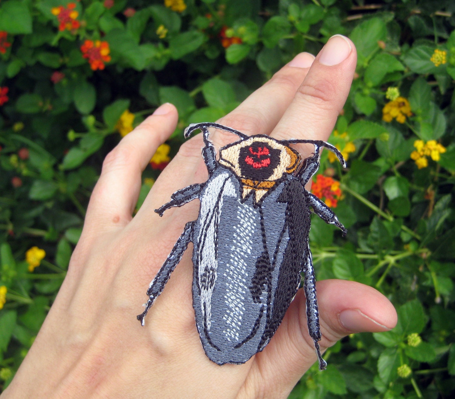 Rare Death's Head Cockroach Roach Blaberus craniifer Steam