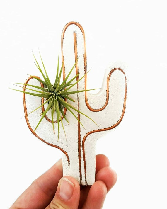 Cactus Decor/Air Planter/Cactus Air Planter/Indoor Planter/Concrete Planter/Copper Decor/Cactus/Air Plant/Cacti