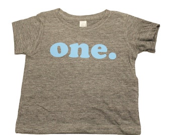 first birthday shirt, kids birthday shirt, birthday shirt