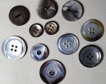 11 Vintage Dark Shell Buttons