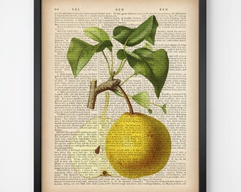 Dictionary print download, Printable dictionary art, Botanical fruit print, Kitchen art, Kitchen print, Pear print, Vintage art print, JPG