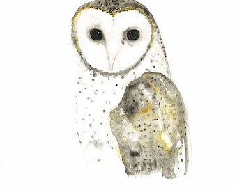 Owl Watercolor Print, Australian Barn Owl Print, Australian Native Bird Watercolour, Woodland Painting, Nature Wall Art