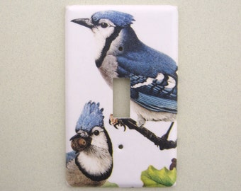 Single light switch cover blue jays bird switchplate