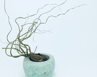 Concrete planter, concrete pot, air plant pot