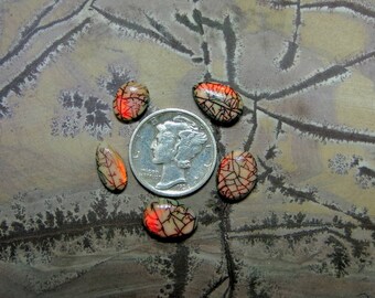 Monarch opal cabochon, synthetic opal, cultured opal, sterling opal cabochon, cabochon supplier, handcut cabochons, made in the USA