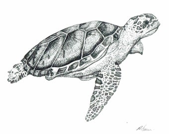 Turtle illustration | Etsy