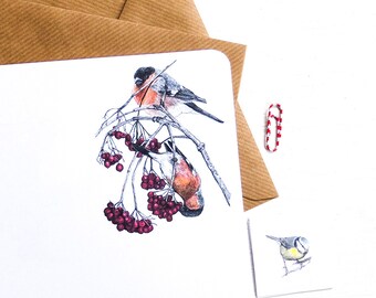 Garden Birds Letter Writing Set - Illustrated Writing Paper
