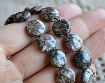 33pcs 12mm Turritella Agate Natural Gemstone Beads Puffed Flat Round 16 Inches