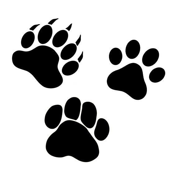 Bear paw svg Dog paw and cat paw svg files paw digital