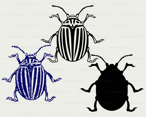 Download Colorado beetle svg/beetle clipart/bug svg/insects ...