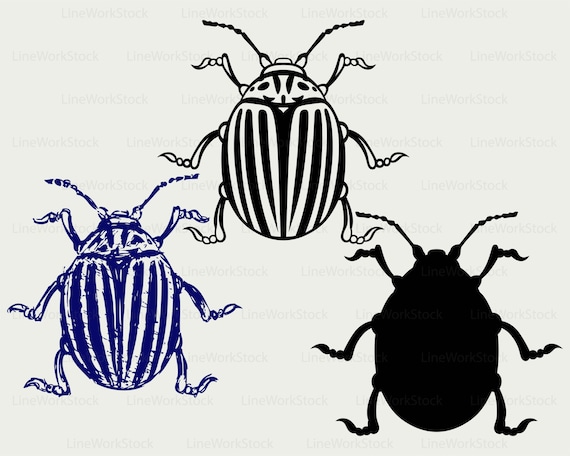 Download Colorado beetle svg/beetle clipart/bug svg/insects ...