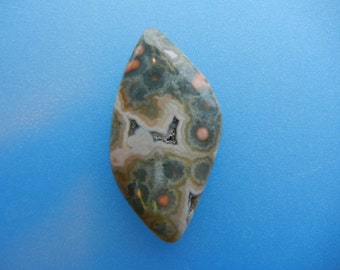Rare Ocean Jasper Cabochon