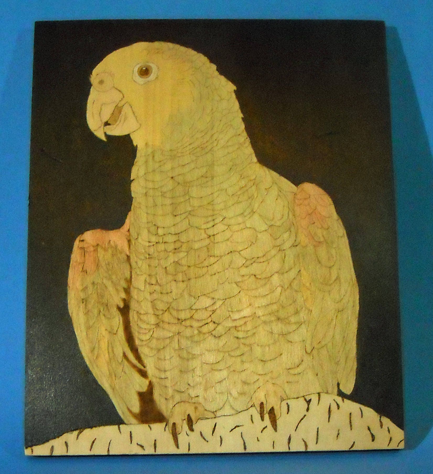 gallery photo