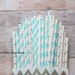 Silver Foil Stars and Light Blue Stripe Straw Mix Frozen Party Decorations Twinkle Twinkle Little Star/Blue First Birthday/Boy Baby Shower