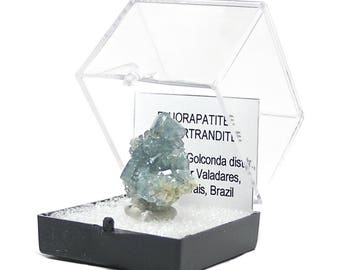 Blue Apatite with Bertrandite Crystal Cluster, Exceptional thumbnail mineral specimen, mined in Brazil. Wear it or Display it